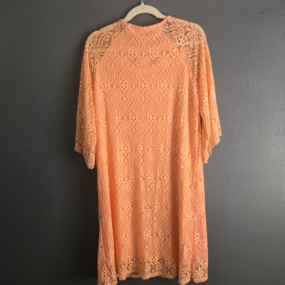 Lace Romantic Soft Girl Sheath 3/4 Sleeve Peach XL Dress - Picture 6 of 7